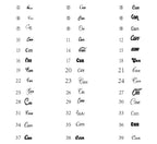 Destiny custom necklace