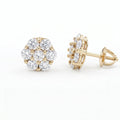 Lumière earrings