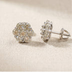 Lumière earrings